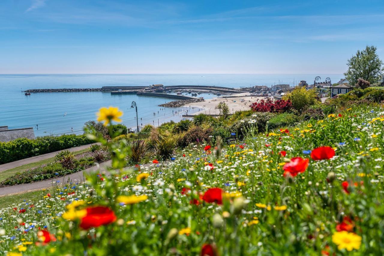 Valley Farm Holiday Cottages Axminster Dış mekan fotoğraf